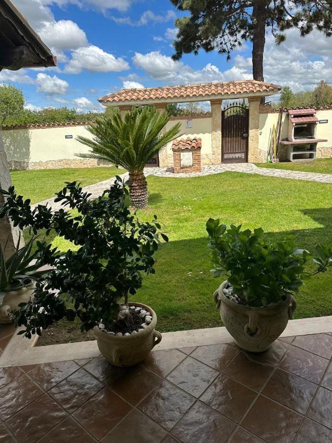 Villa Gold House Luxury Anzio Exterior foto