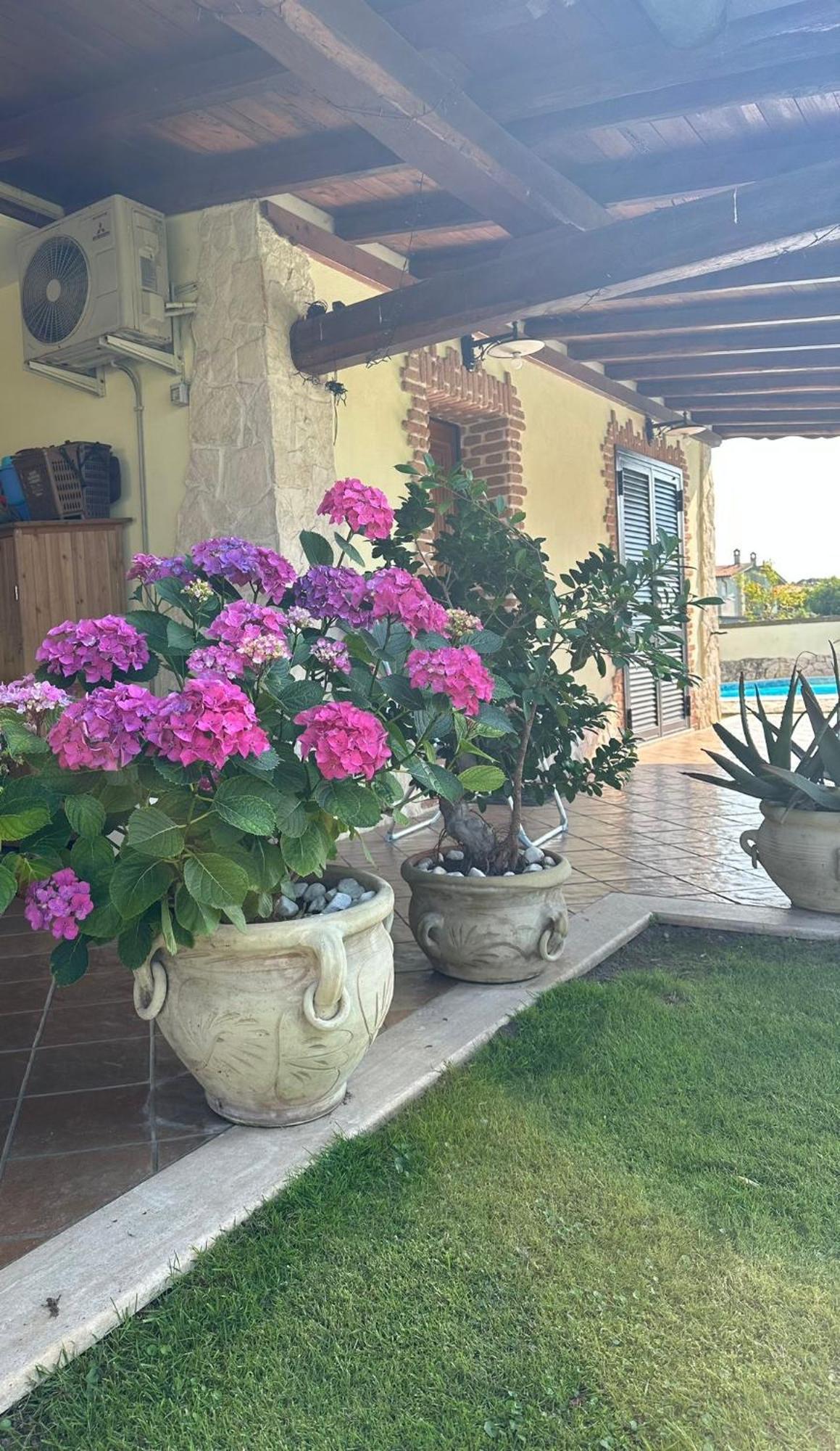 Villa Gold House Luxury Anzio Exterior foto